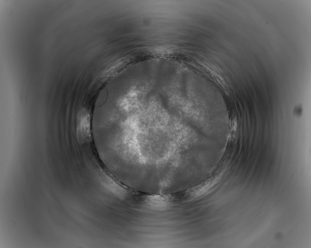 X0000099410238200805301352