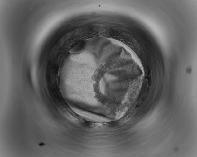 X0000099410239200805301352