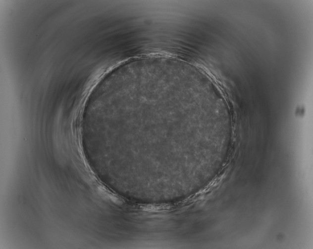 X0000099410241200805301351