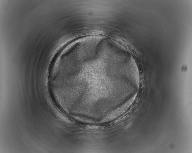 X0000099410242200805301351