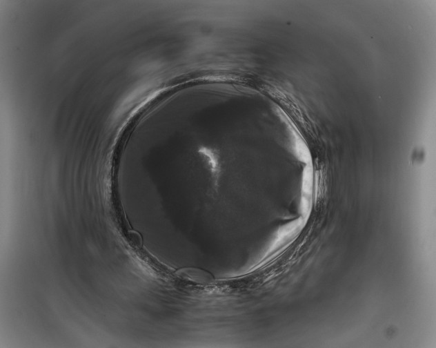 X0000099410243200805301352