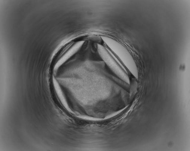 X0000099410244200805301352