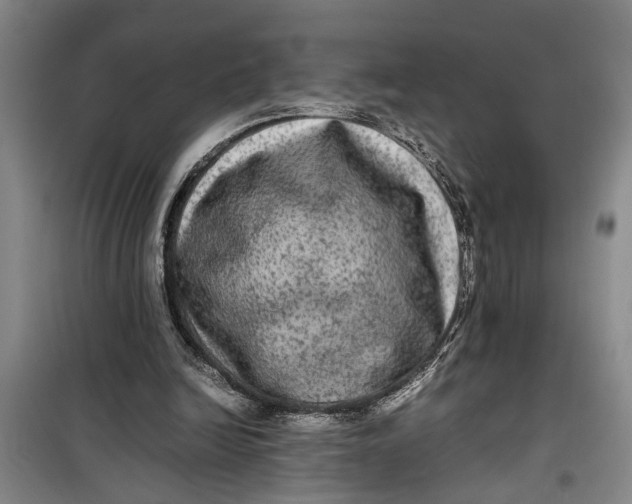 X0000099410246200805301352