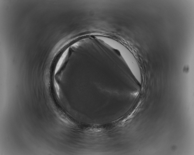 X0000099410247200805301352