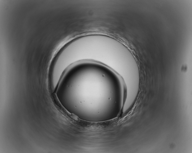 X0000099410248200805301352