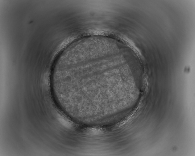 X0000099410250200805301352