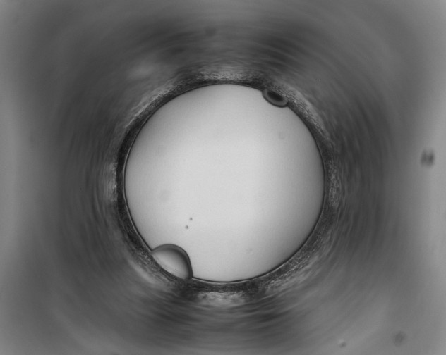 X0000099410251200805301352