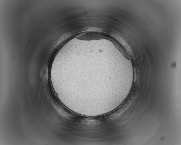 X0000099410253200805301352