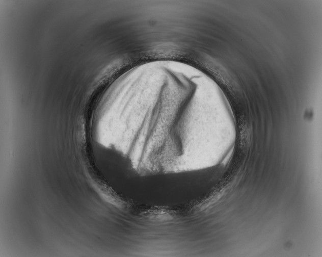 X0000099410254200805301352