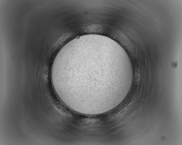 X0000099410255200805301352