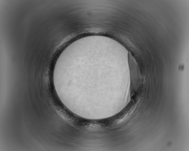 X0000099410256200805301352