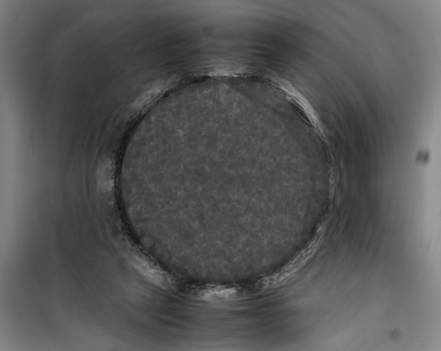 X0000099410257200805301352