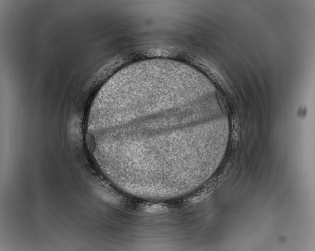 X0000099410258200805301352