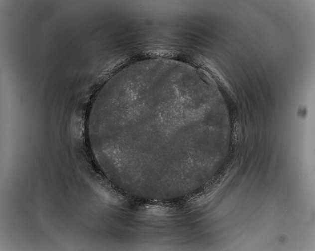 X0000099410259200805301352