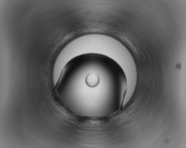 X0000099410260200805301352