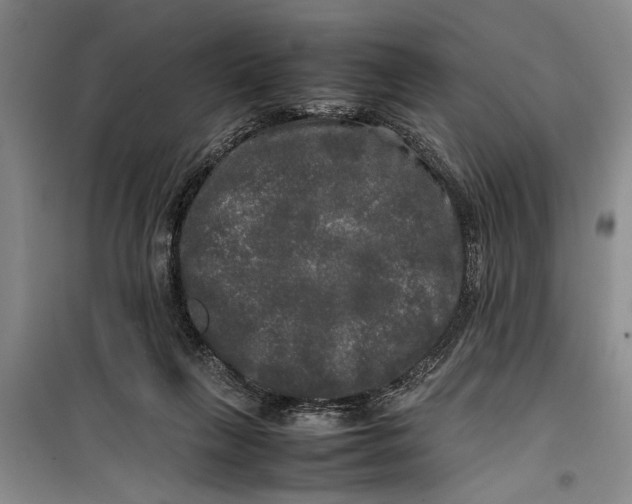 X0000099410263200805301352