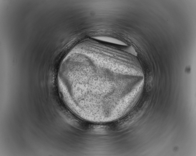 X0000099410268200805301352