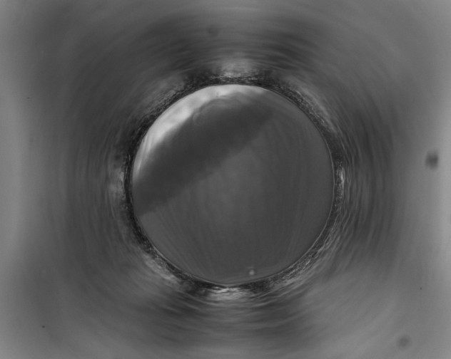 X0000099410269200805301352