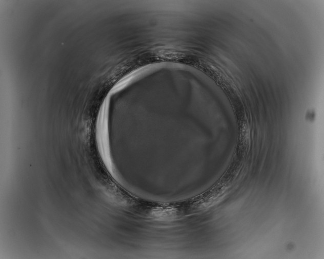 X0000099410271200805301352