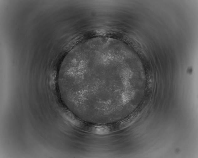 X0000099410275200805301352