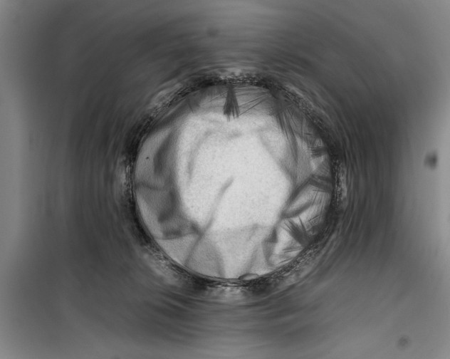 X0000099410276200805301352