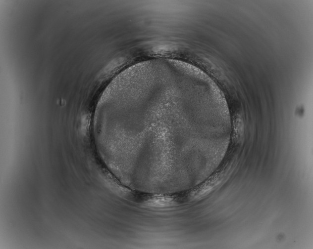 X0000099410278200805301352