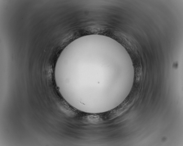 X0000099410279200805301352