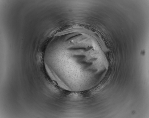 X0000099410280200805301352