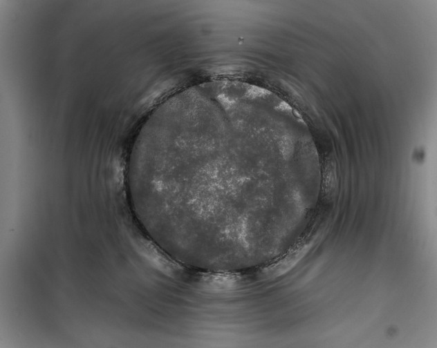 X0000099410282200805301352