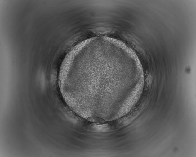 X0000099410283200805301352