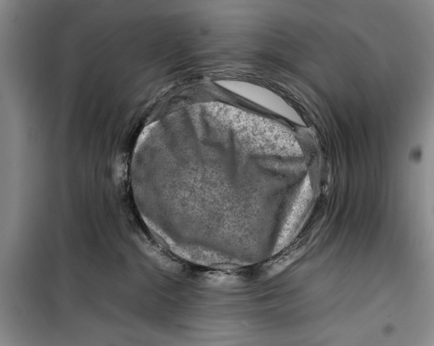 X0000099410284200805301352