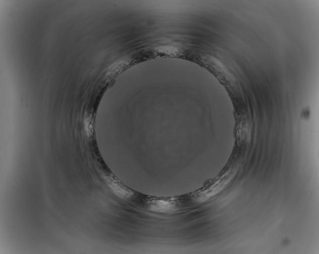 X0000099410285200805301352