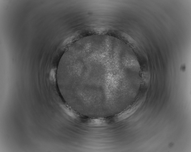 X0000099410286200805301352