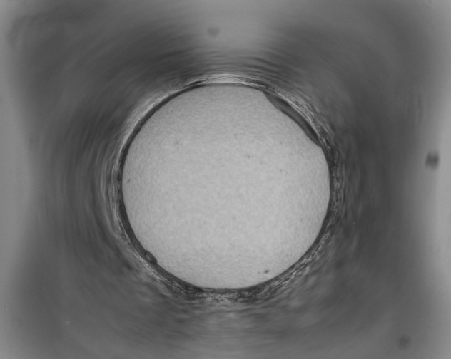 X0000099410289200805301351