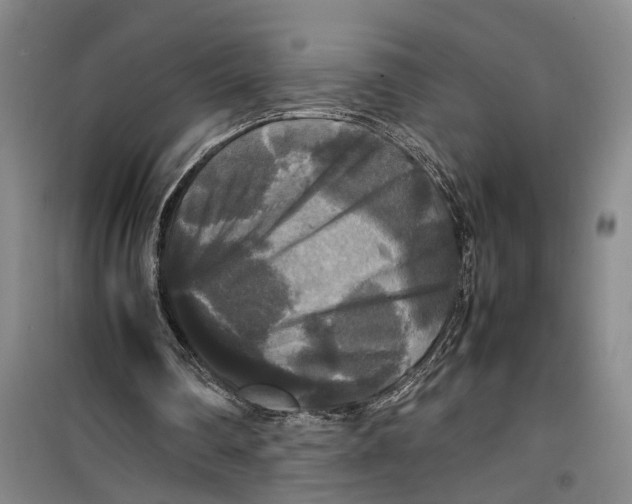 X0000099410290200805301351