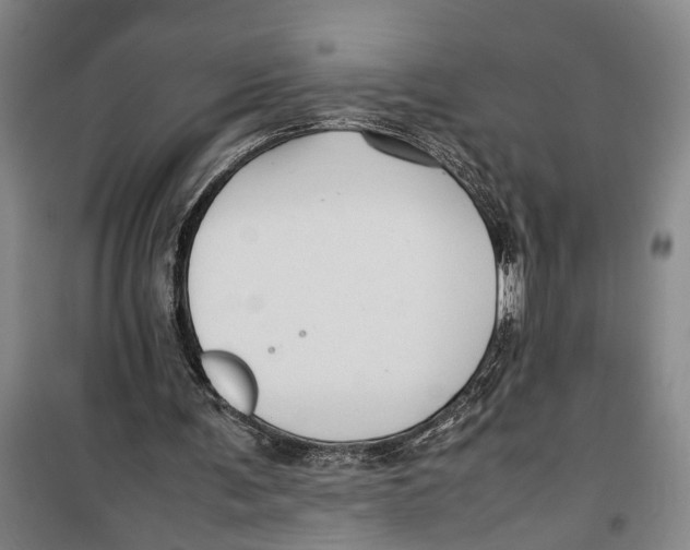 X0000099410291200805301351