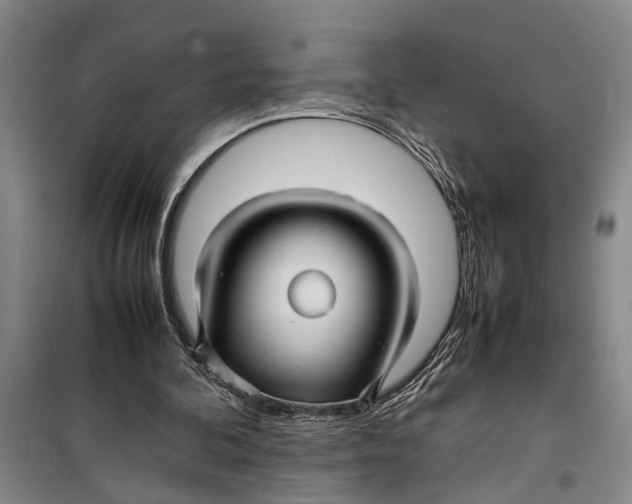 X0000099410292200805301351