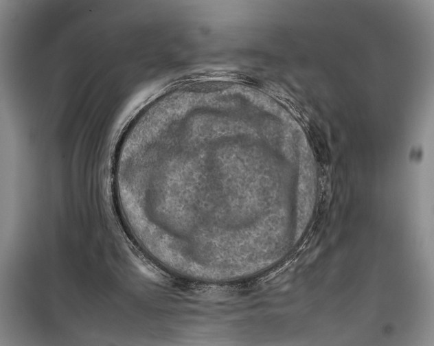 X0000099410293200805301351