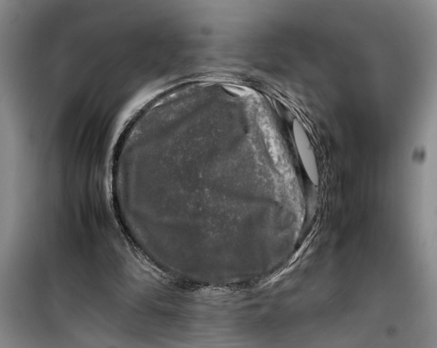 X0000099410294200805301351