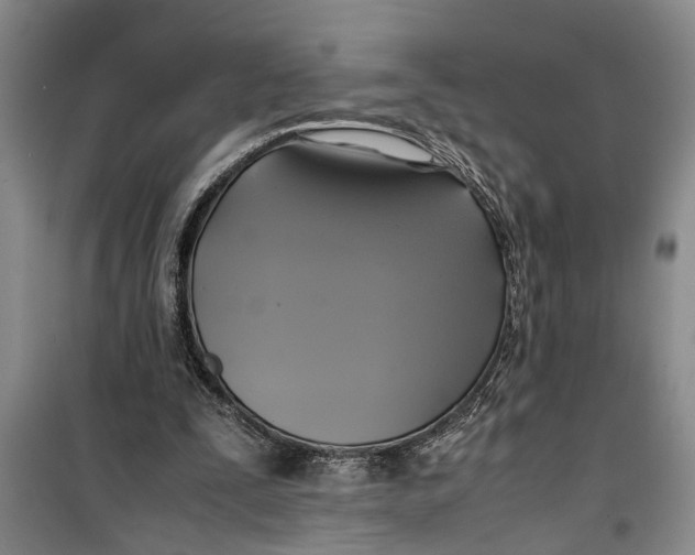 X0000099410295200805301351