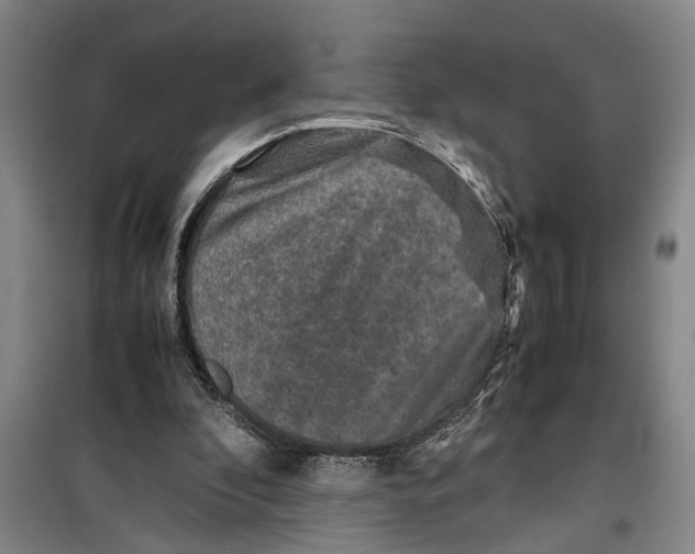 X0000099410296200805301351