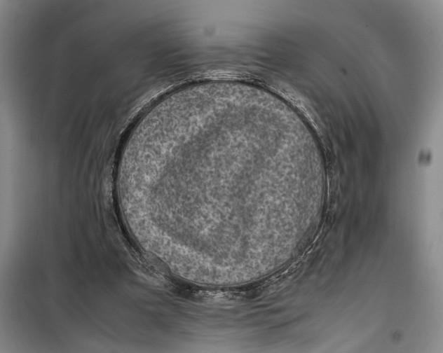 X0000099410297200805301351