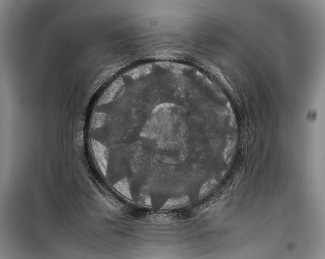 X0000099410299200805301351