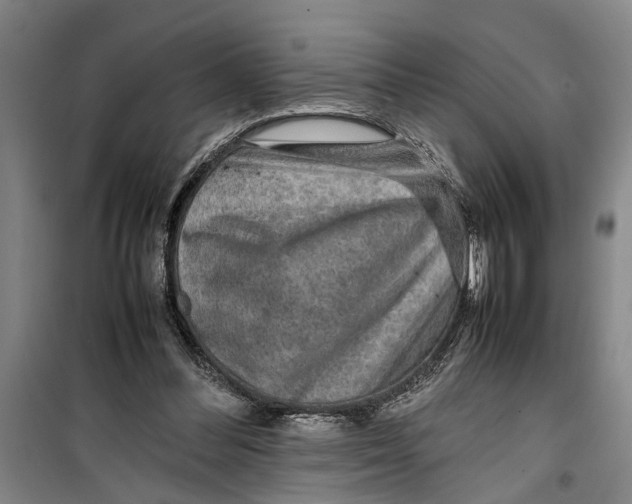 X0000099410300200805301351