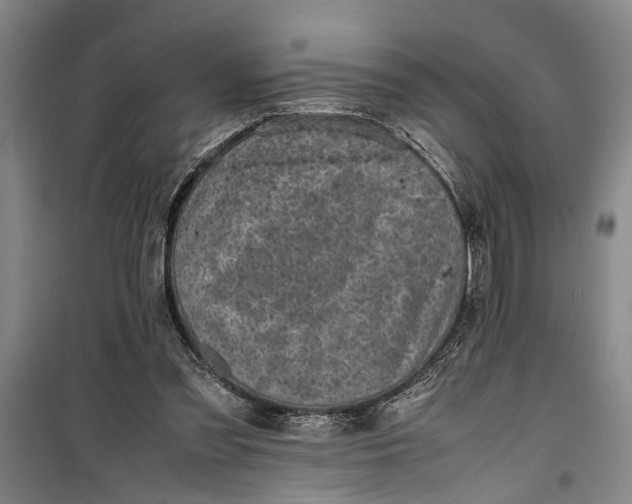 X0000099410301200805301351