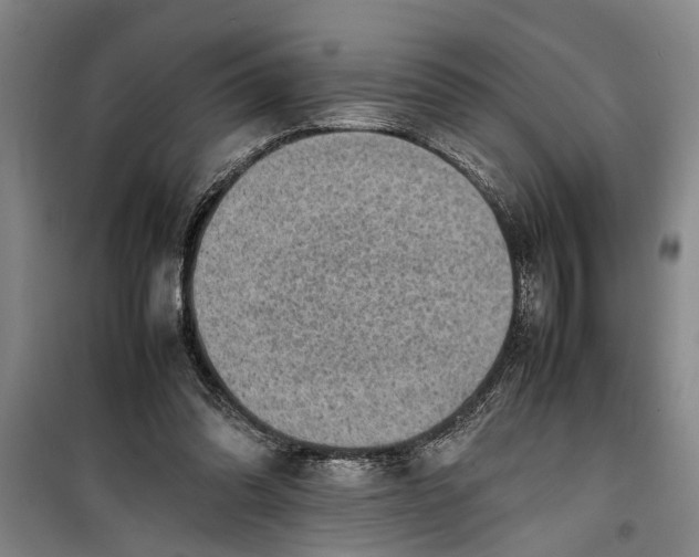 X0000099410302200805301351