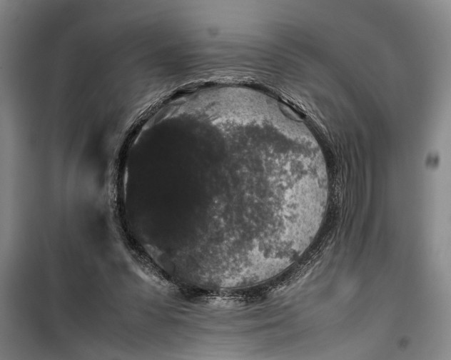 X0000099410303200805301351