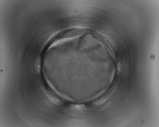 X0000099410304200805301351