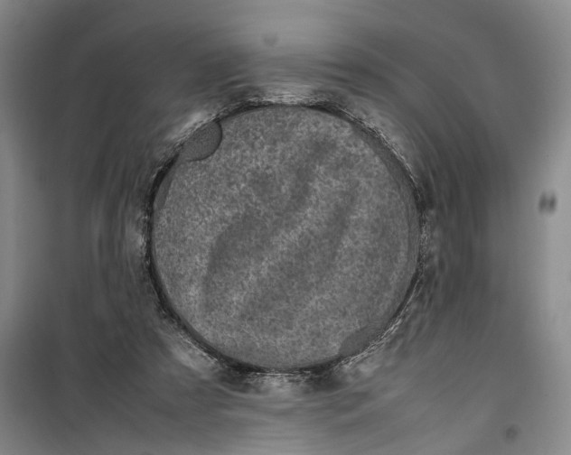 X0000099410305200805301351