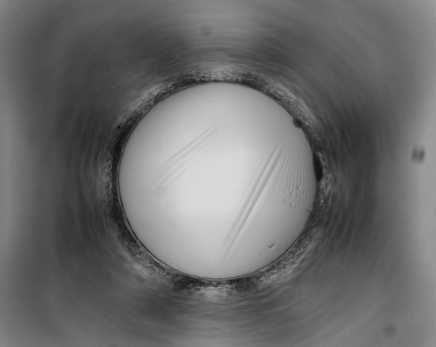 X0000099410306200805301351